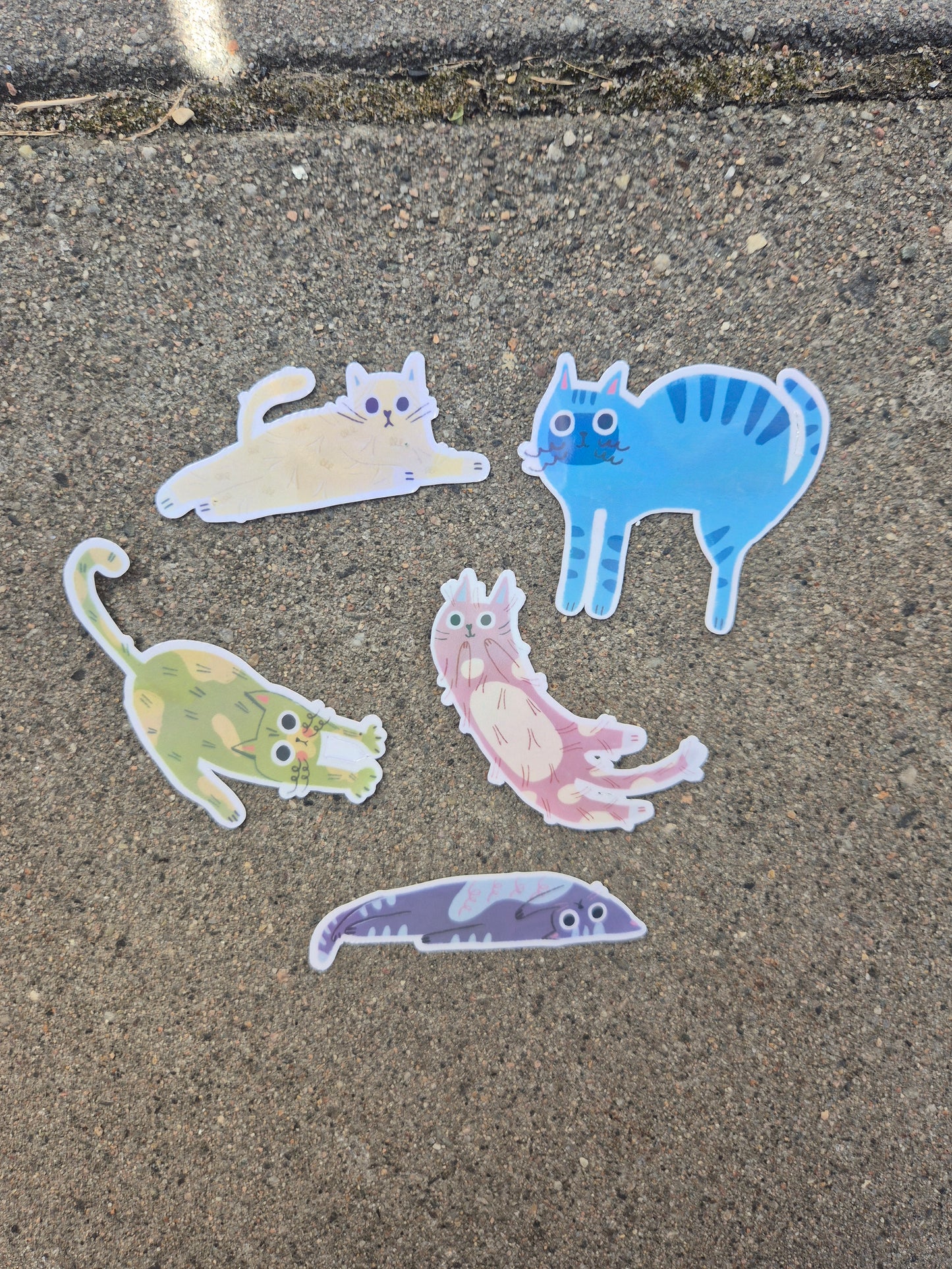 Chilling Cats
