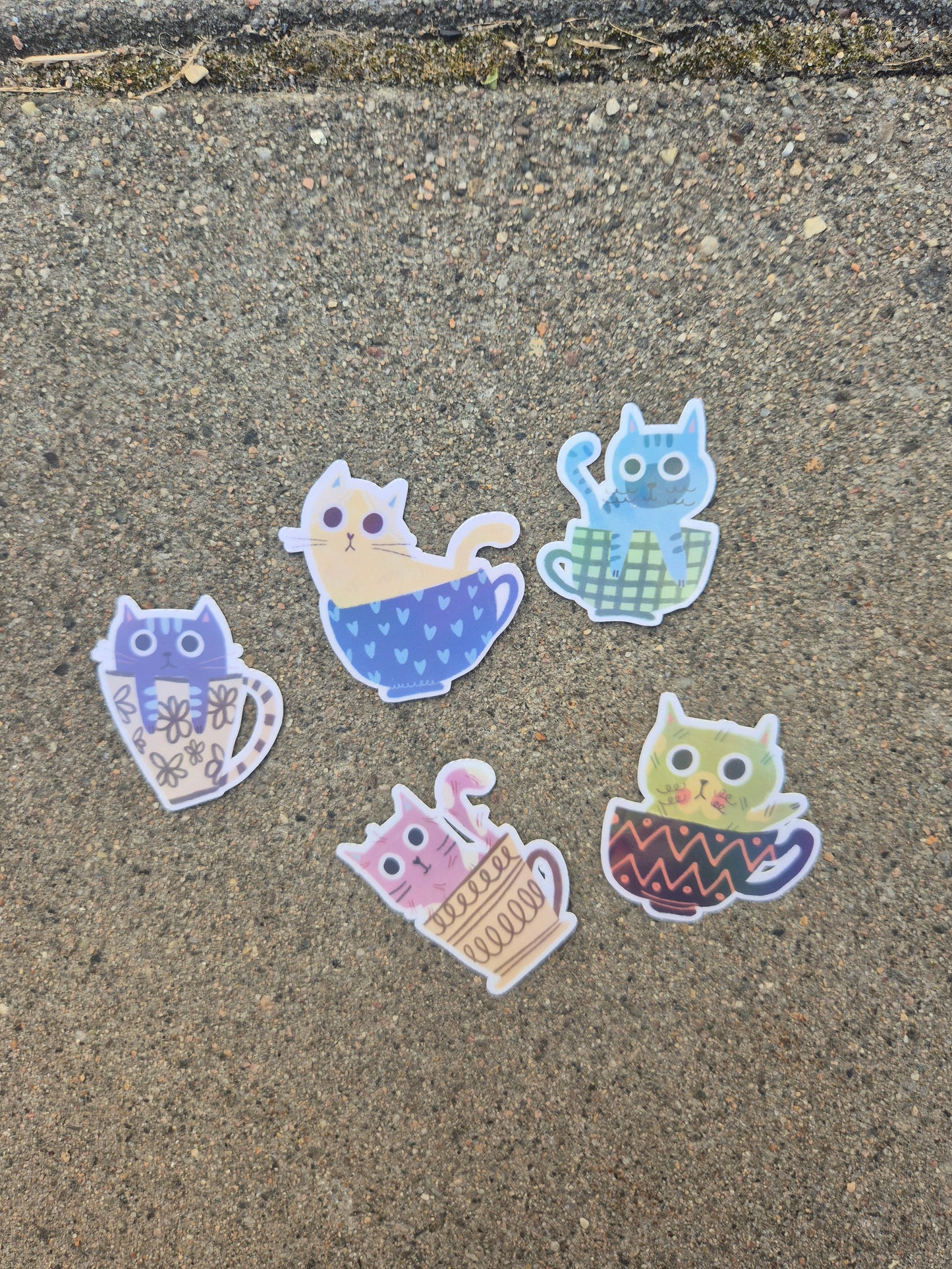 Coffee Cats