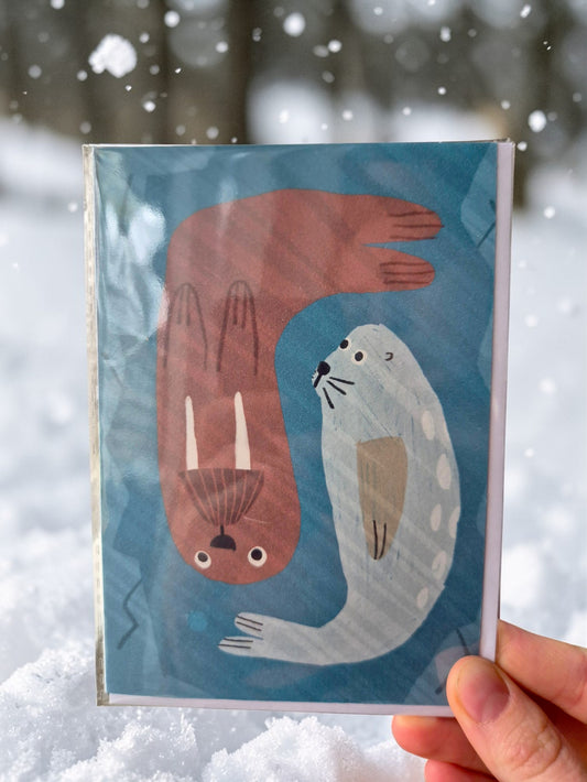 Seal & Walrus
